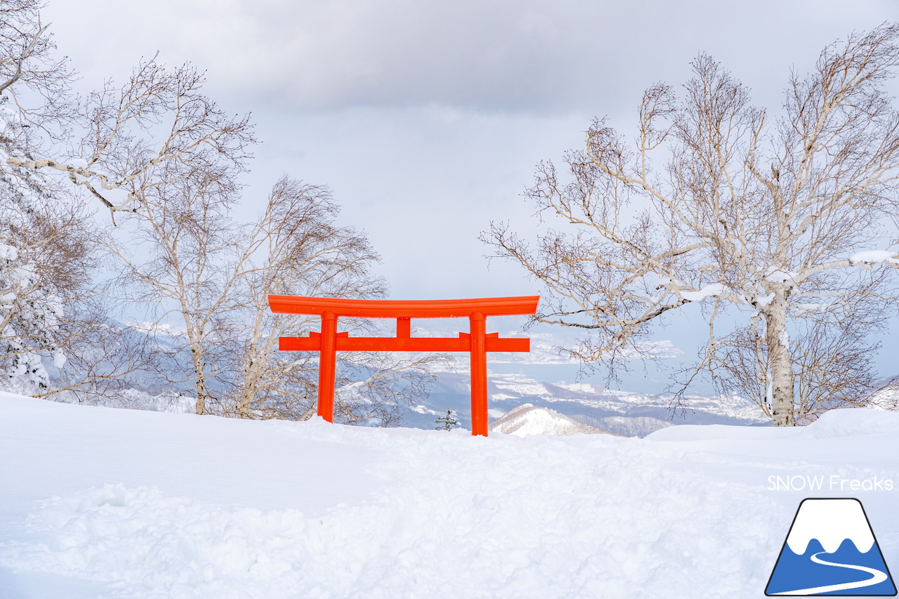 札幌国際スキー場｜３月の平日。粉雪コンディション、ゴンドラ＆リフト待ち無し、もちろん、ゲレンデも混雑無し。要するに、最高です(^_-)-☆